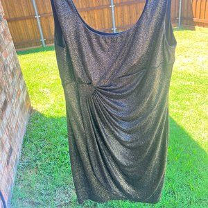 Sparkly Connected Apparel Dress size 12